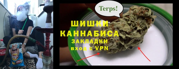 ГАЛЛЮЦИНОГЕННЫЕ ГРИБЫ Аркадак