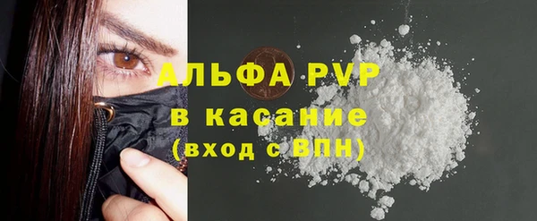 ГАЛЛЮЦИНОГЕННЫЕ ГРИБЫ Аркадак