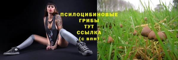 скорость mdpv Теберда