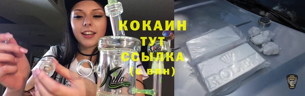 ГАЛЛЮЦИНОГЕННЫЕ ГРИБЫ Аркадак