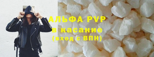 ГАЛЛЮЦИНОГЕННЫЕ ГРИБЫ Аркадак