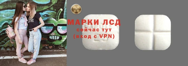 ГАЛЛЮЦИНОГЕННЫЕ ГРИБЫ Аркадак
