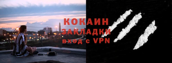 ГАЛЛЮЦИНОГЕННЫЕ ГРИБЫ Аркадак